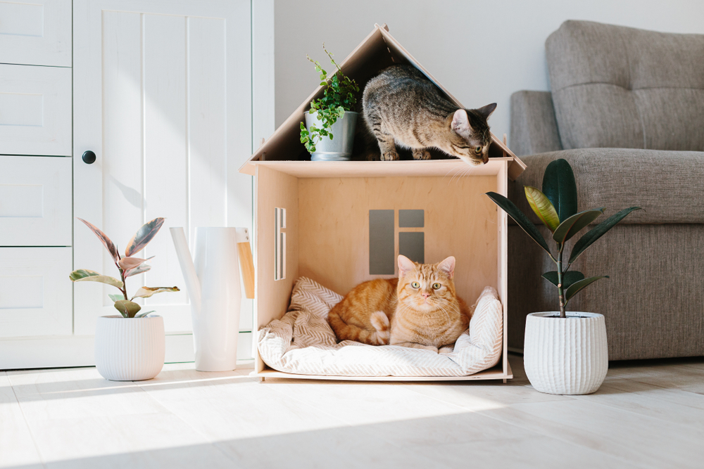 Tips for Selling a Home with Pets: A Guide for Pet Owners