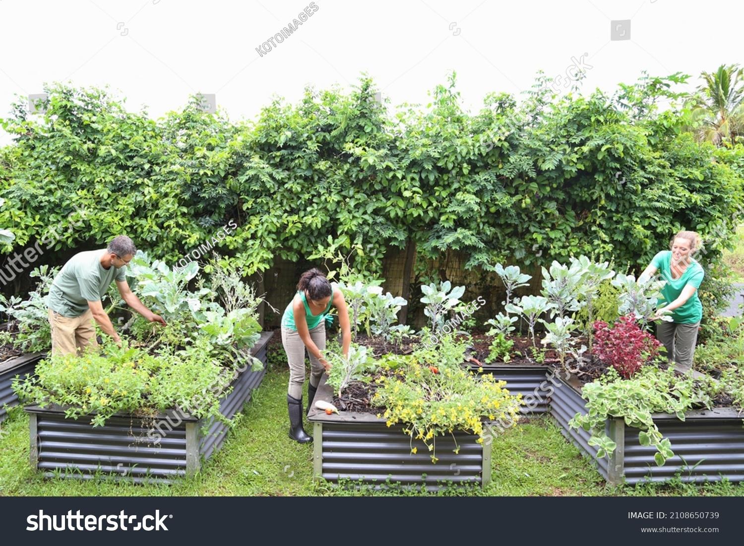 Nourishing Communities: The Benefits of Community-Supported Agriculture in Neighborhoods