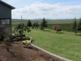 View from Front Yard