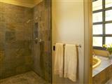 Master Shower